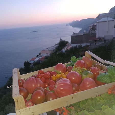 Villa Antica Macina Ποζιτάνο Εξωτερικό φωτογραφία
