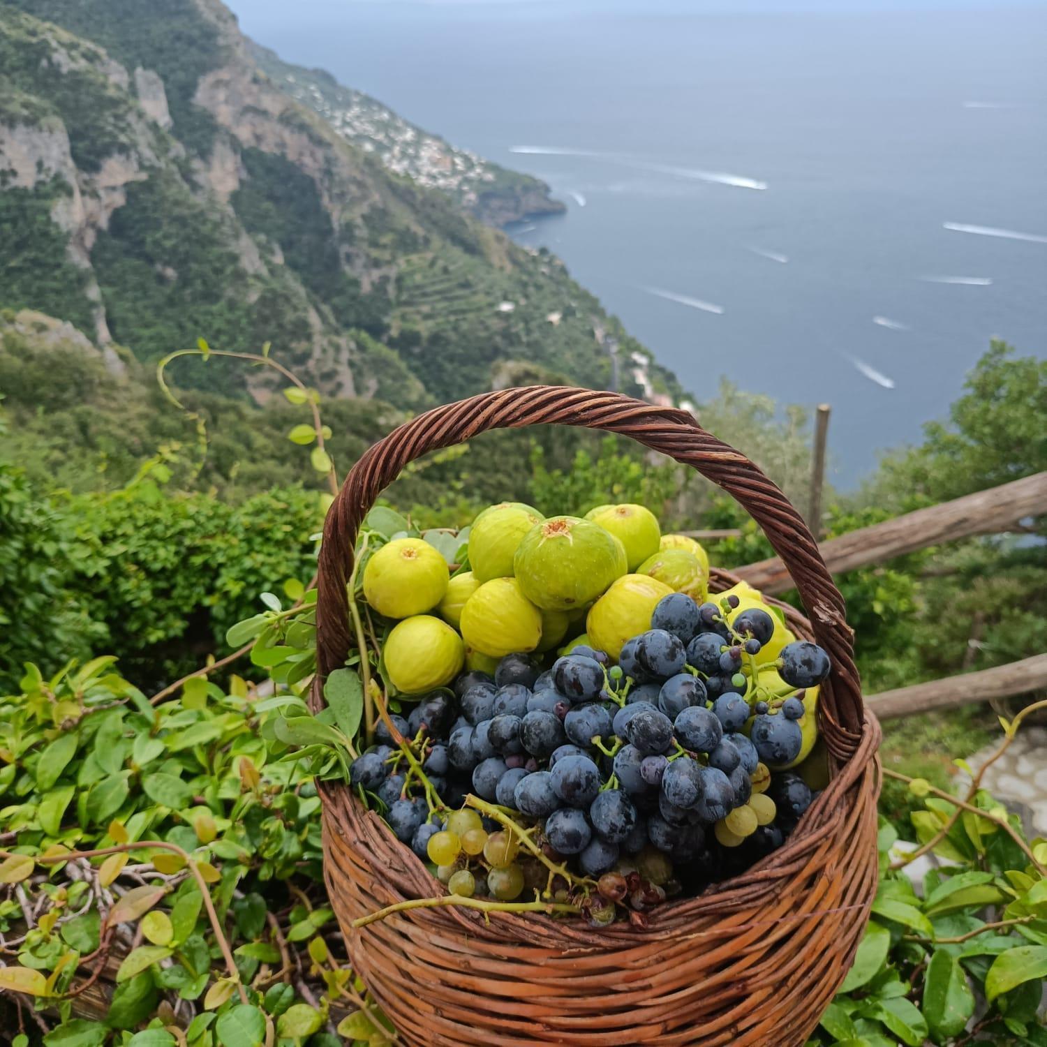 Villa Antica Macina Ποζιτάνο Εξωτερικό φωτογραφία