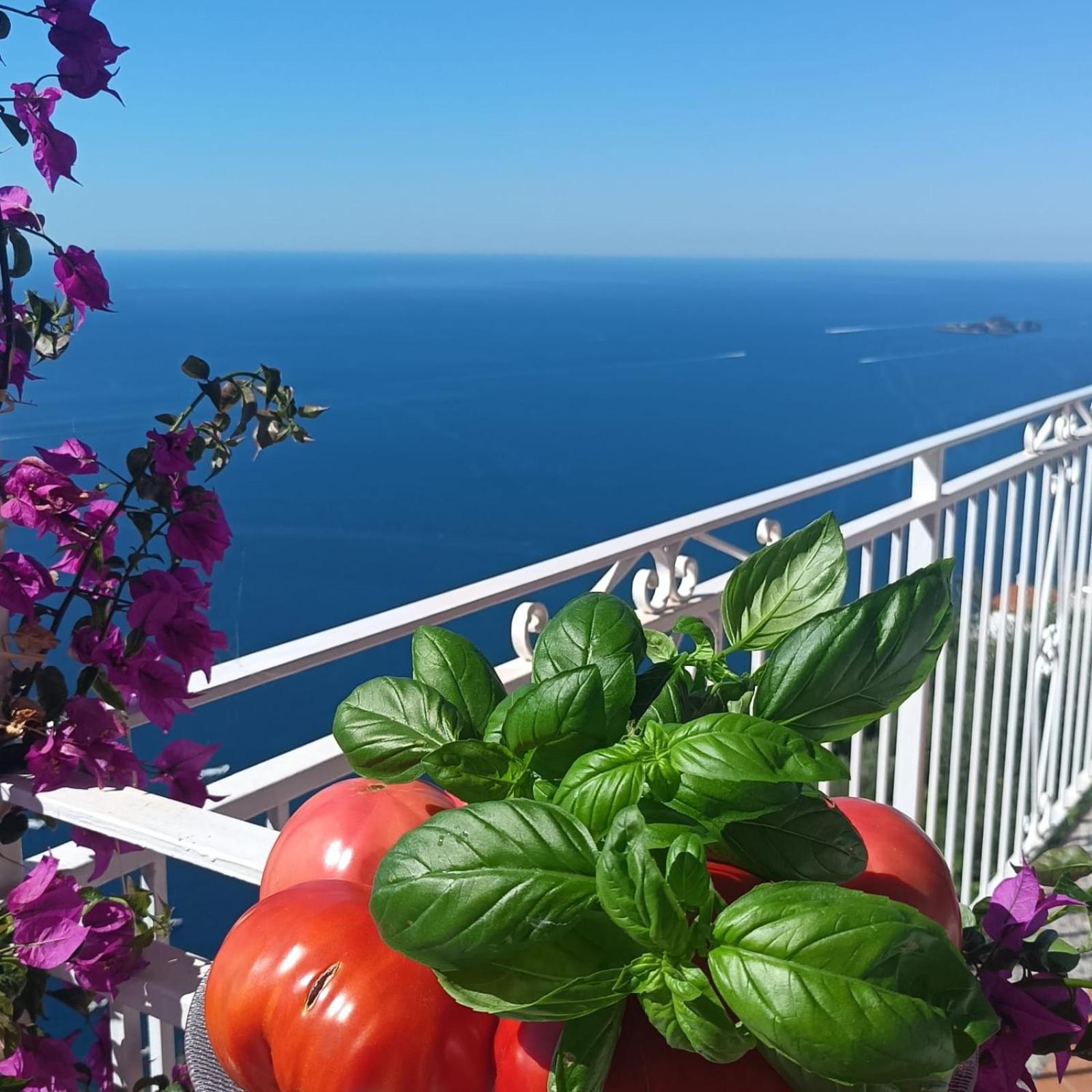 Villa Antica Macina Ποζιτάνο Εξωτερικό φωτογραφία