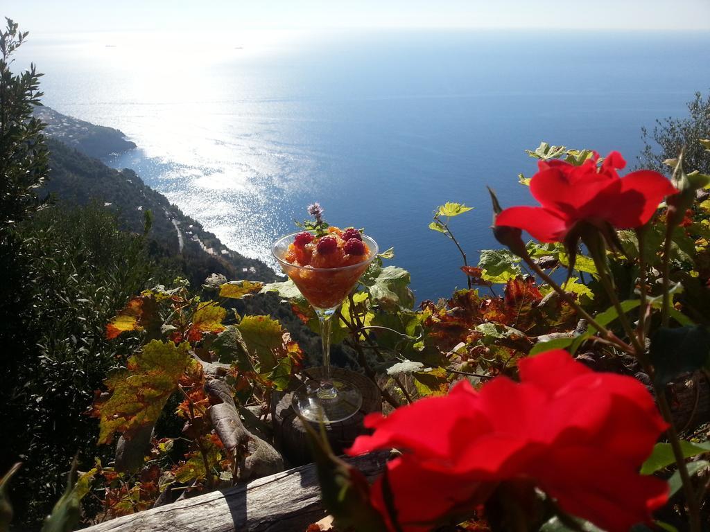 Villa Antica Macina Ποζιτάνο Εξωτερικό φωτογραφία